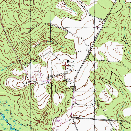 Topographic Map of Blue Cemetery, NC