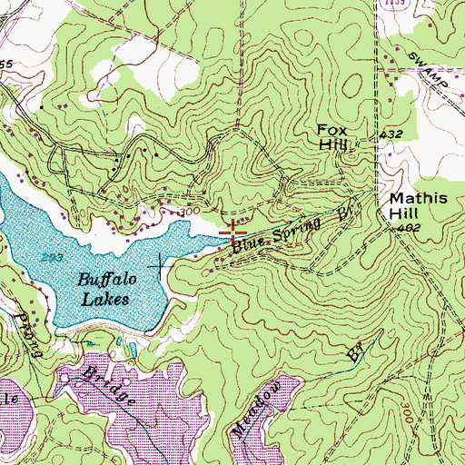 Topographic Map of Blue Spring Branch, NC