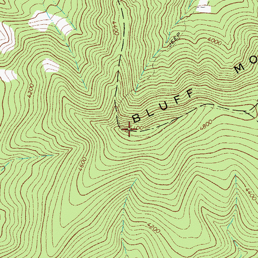 Topographic Map of Bluff Mountain, NC