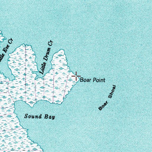 Topographic Map of Boar Point, NC