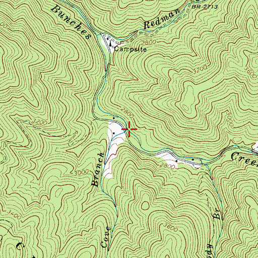 Topographic Map of Board Cove Branch, NC