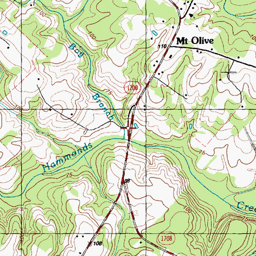 Topographic Map of Bog Branch, NC