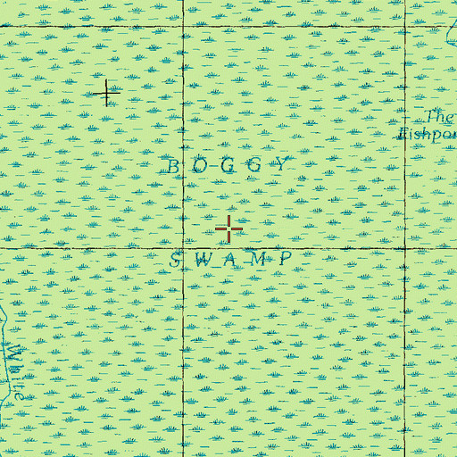 Topographic Map of Boggy Swamp, NC