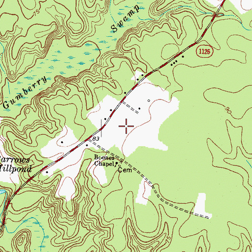 Topographic Map of Boones Chapel, NC