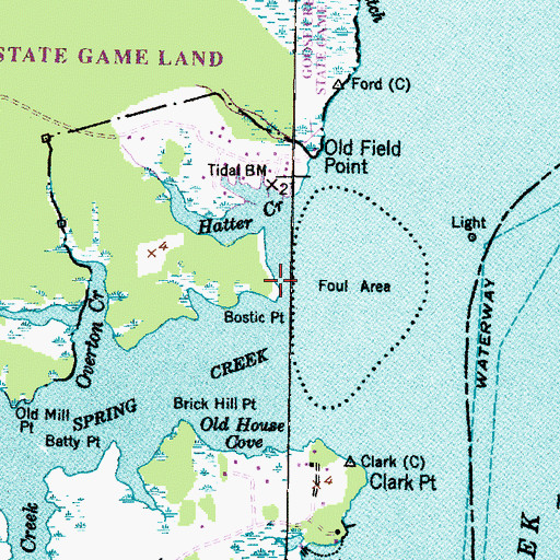 Topographic Map of Bostic Point, NC