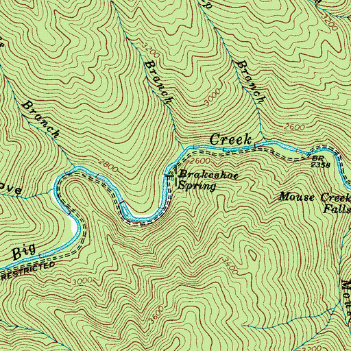 Topographic Map of Brakeshoe Spring, NC