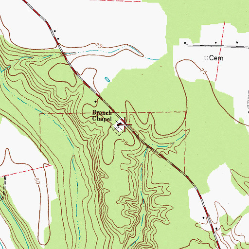 Topographic Map of Branch Chapel, NC