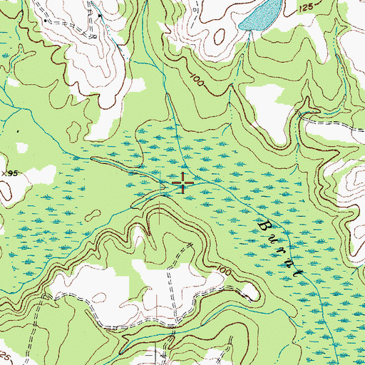 Topographic Map of Breeches Swamp, NC