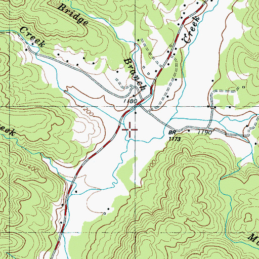 Topographic Map of Bridge Branch, NC