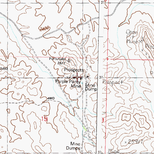 Topographic Map of Purple Pansy Mine, AZ
