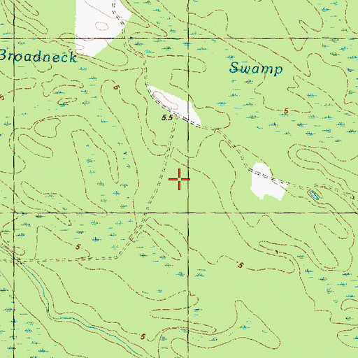 Topographic Map of Broadneck Swamp, NC