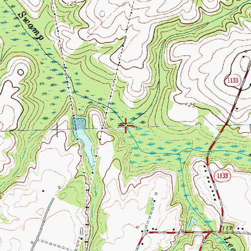 Topographic Map of Brooks Swamp, NC