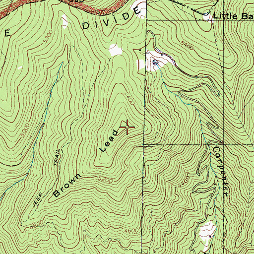 Topographic Map of Brown Lead, NC