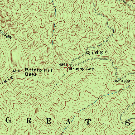 Topographic Map of Brushy Gap, NC
