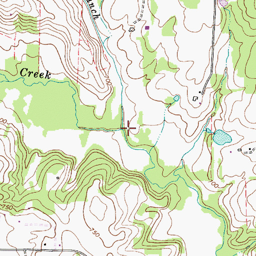 Topographic Map of Bryant Branch, NC