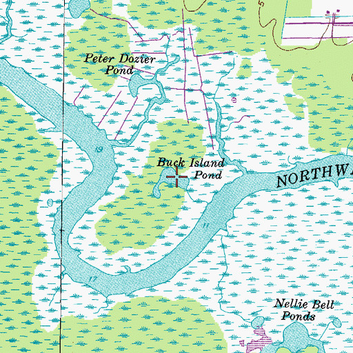 Topographic Map of Buck Island Pond, NC
