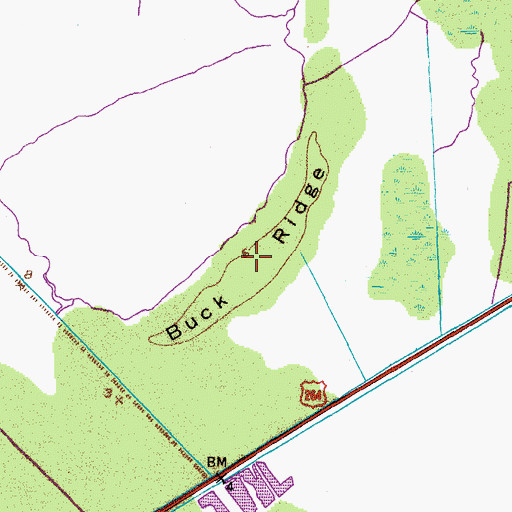 Topographic Map of Buck Ridge, NC