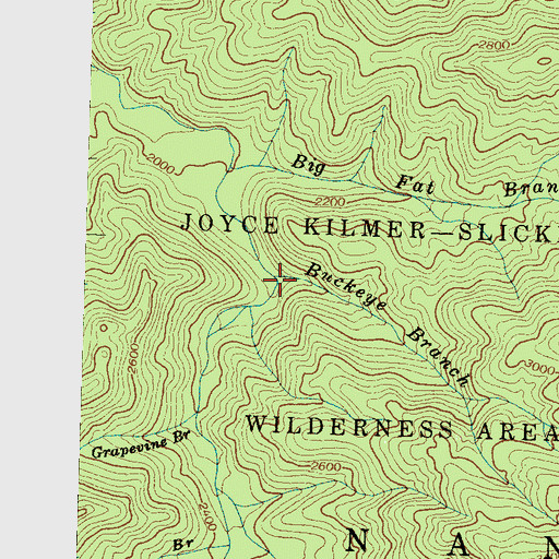 Topographic Map of Buckeye Branch, NC