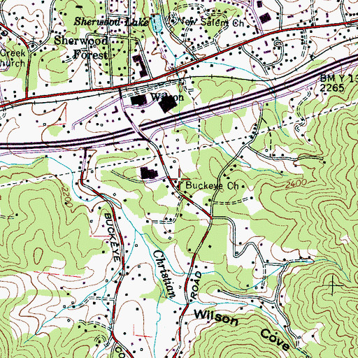Topographic Map of Buckeye Church, NC