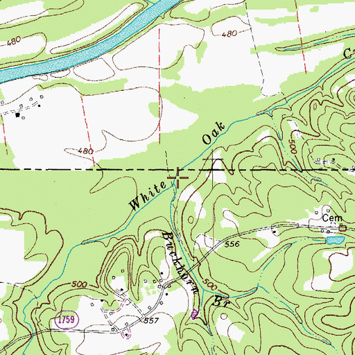 Topographic Map of Buckhorn Branch, NC