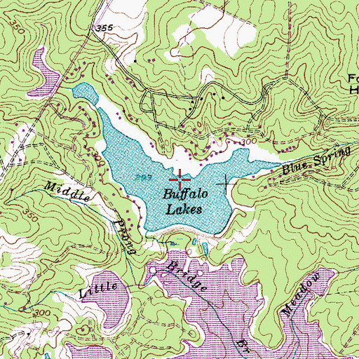 Topographic Map of Buffalo Lakes, NC