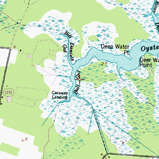 Topographic Map of Bull Gut, NC