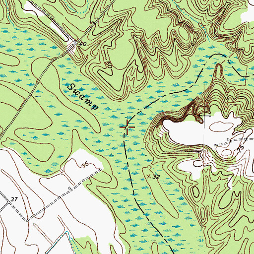 Topographic Map of Bull Neck Swamp, NC
