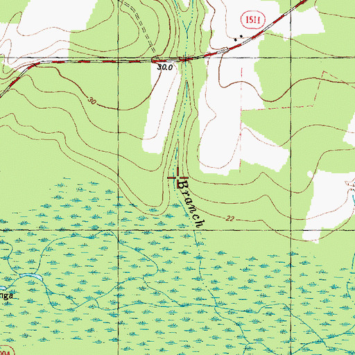 Topographic Map of Bullard Branch, NC