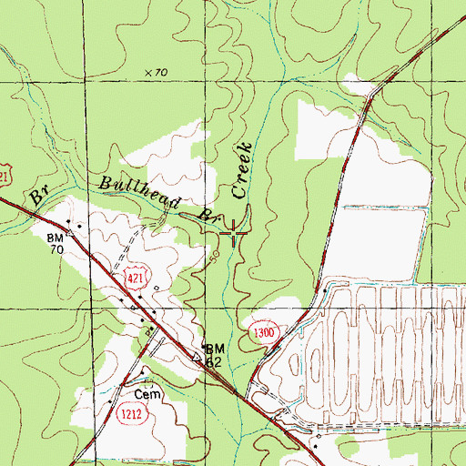 Topographic Map of Bullhead Branch, NC