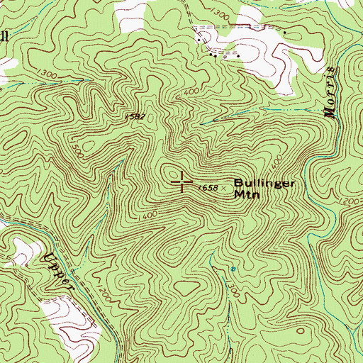 Topographic Map of Bullinger Mountain, NC