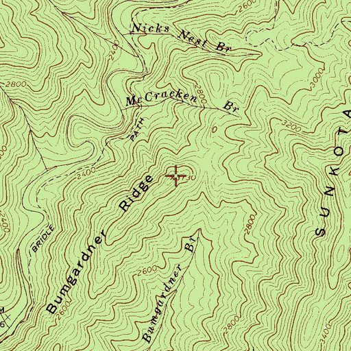 Topographic Map of Bumgardner Ridge, NC