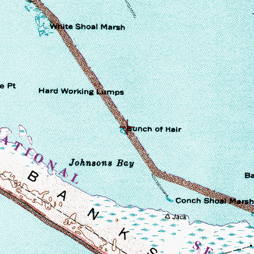 Topographic Map of Bunch of Hair, NC