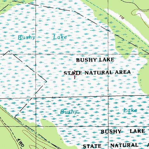 Topographic Map of Bushy Lake, NC