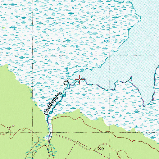 Topographic Map of Cadduggen Creek, NC