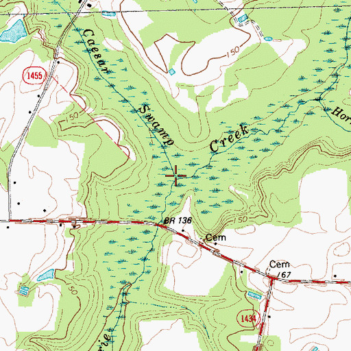 Topographic Map of Caesar Swamp, NC
