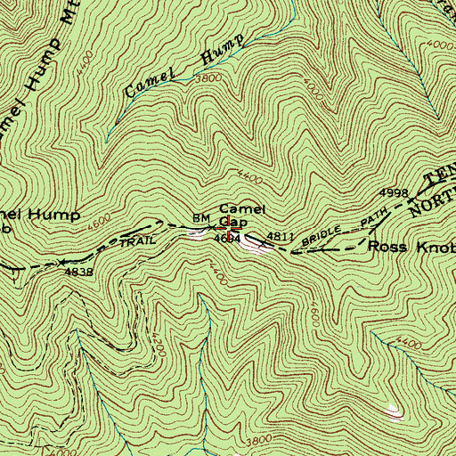 Topographic Map of Camel Gap, NC