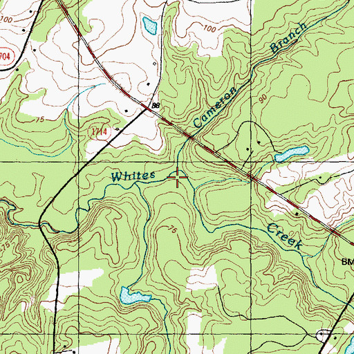 Topographic Map of Cameron Branch, NC
