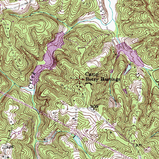 Topographic Map of Camp Betty Hastings, NC