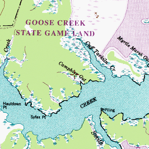 Topographic Map of Camphion Gut, NC