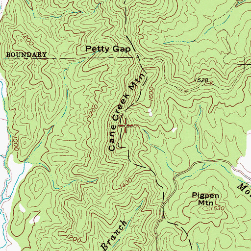 Topographic Map of Cane Creek Mountain, NC