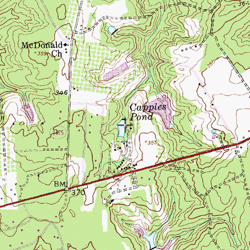 Topographic Map of Capples Pond, NC