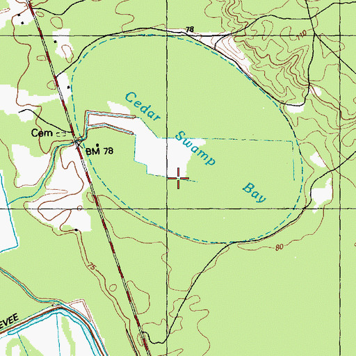 Topographic Map of Cedar Swamp Bay, NC