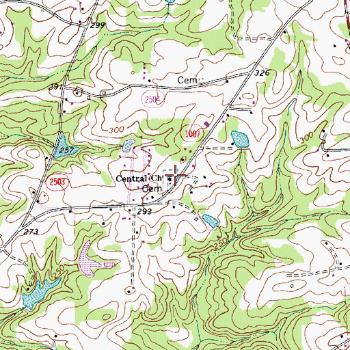 Topographic Map of Central Church, NC