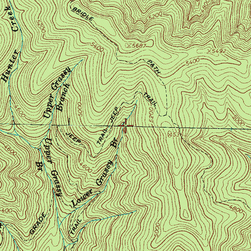 Topographic Map of Chasm Prong, NC