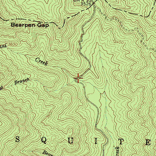 Topographic Map of Chestnut Branch, NC