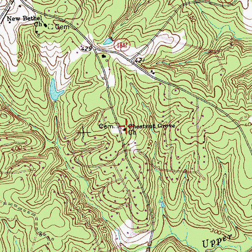 Topographic Map of Chestnut Grove Church, NC