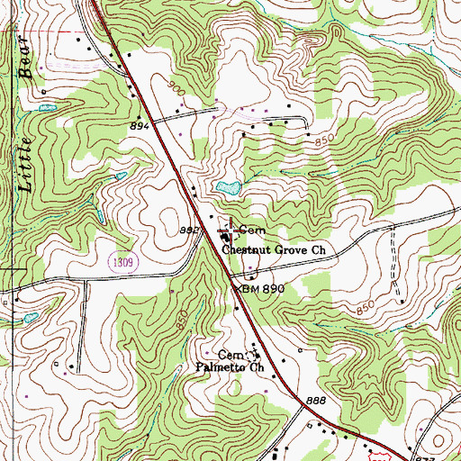Topographic Map of Chestnut Grove Church, NC