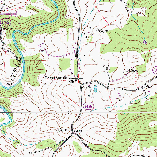 Topographic Map of Chestnut Grove Church, NC