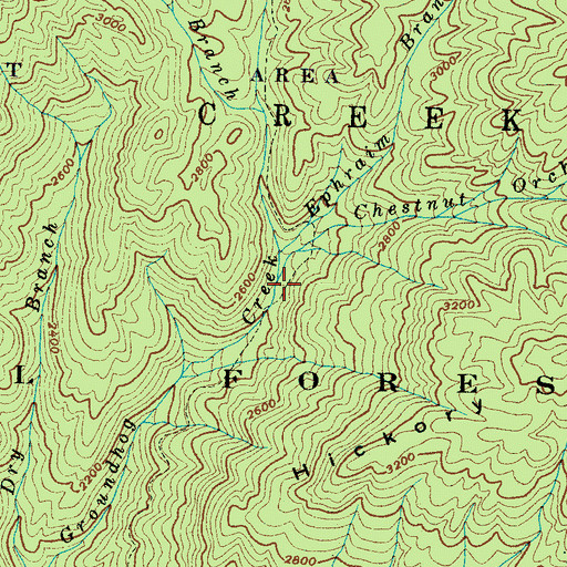 Topographic Map of Chestnut Orchard Branch, NC