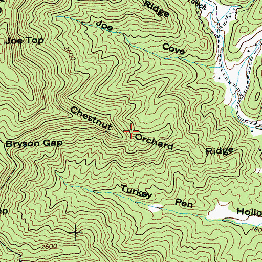 Topographic Map of Chestnut Orchard Ridge, NC